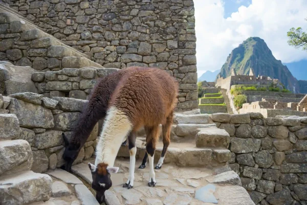 Huchuy Qosqo Trek to Machu Picchu 2 Days